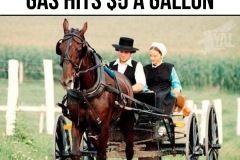 IMG_5851